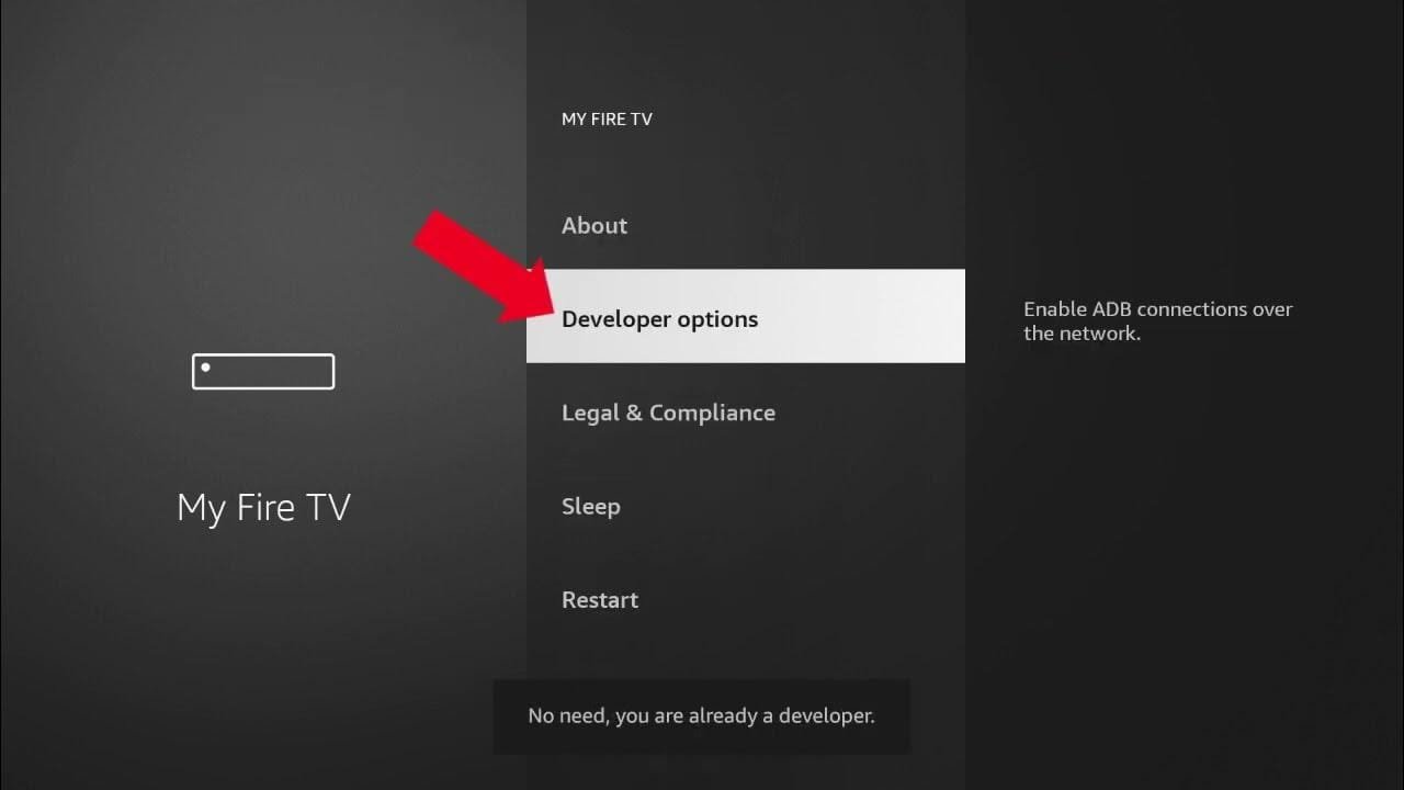 Go to Settings > My Fire TV > Developer Options